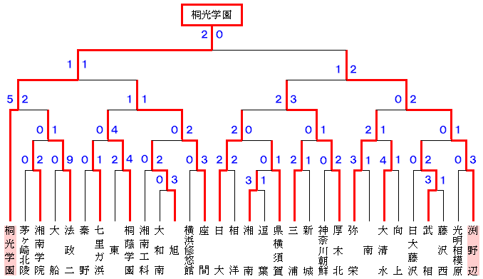 08年度全国高校サッカー選手権大会神奈川県予選