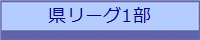 県リーグ1部