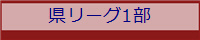 県リーグ1部