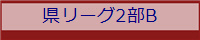 県リーグ2部B