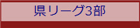 県リーグ3部