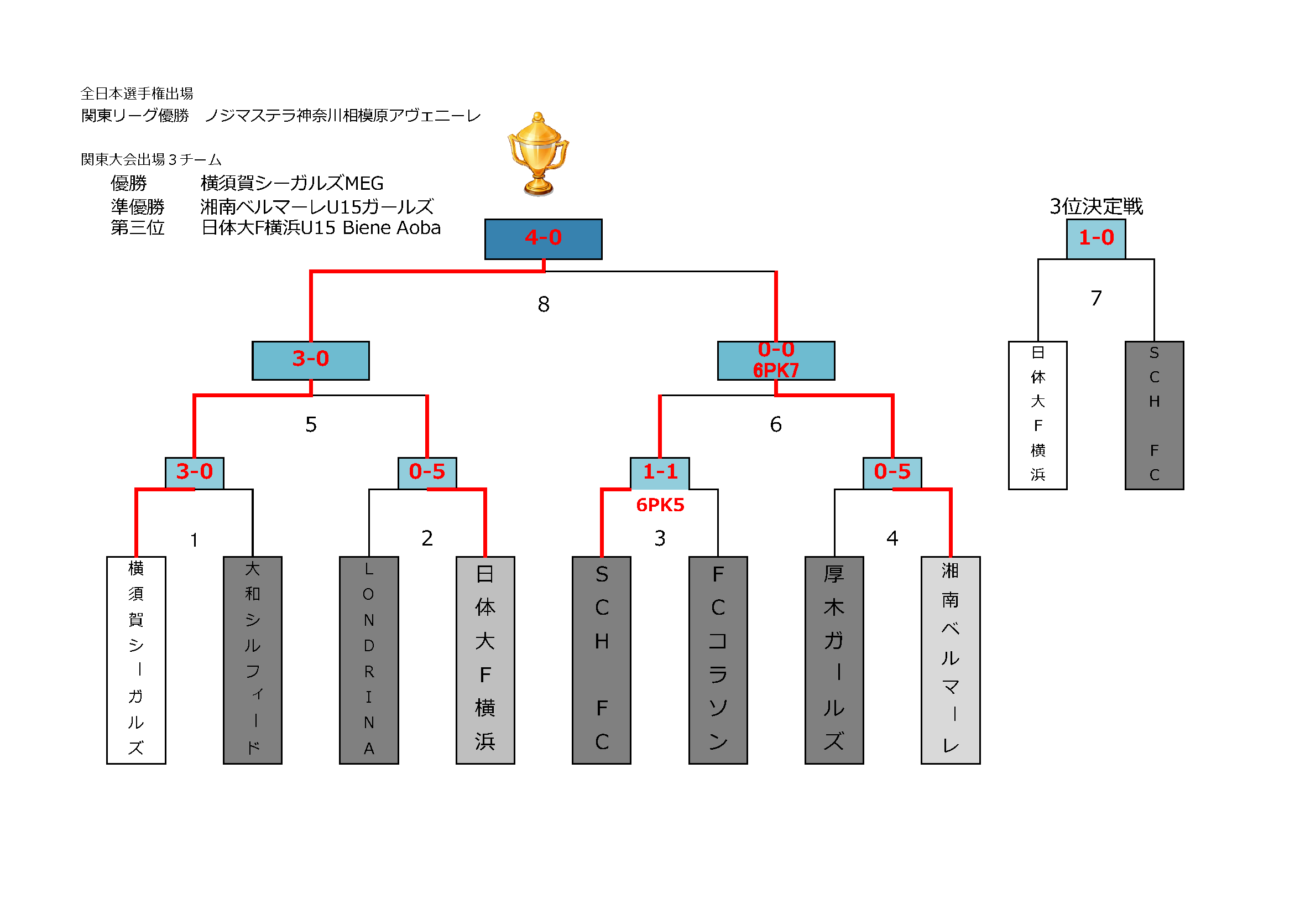 Fakj 神奈川県サッカー協会 女子部会 公式サイト U 15 中学